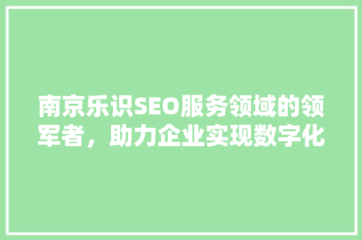 南京乐识SEO服务领域的领军者，助力企业实现数字化营销新突破