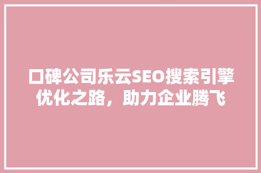 口碑公司乐云SEO搜索引擎优化之路，助力企业腾飞
