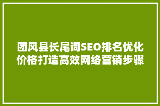 团风县长尾词SEO排名优化价格打造高效网络营销步骤