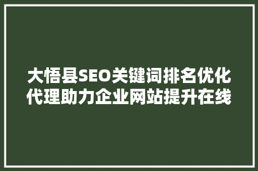 大悟县SEO关键词排名优化代理助力企业网站提升在线竞争力