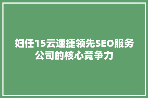 妇任15云速捷领先SEO服务公司的核心竞争力