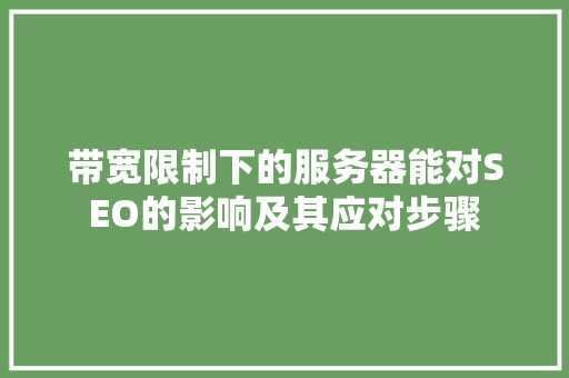 带宽限制下的服务器能对SEO的影响及其应对步骤