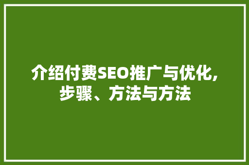 介绍付费SEO推广与优化,步骤、方法与方法