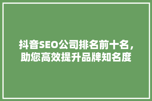 抖音SEO公司排名前十名，助您高效提升品牌知名度
