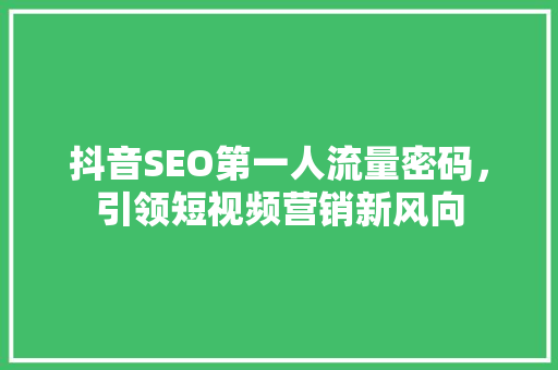 抖音SEO第一人流量密码，引领短视频营销新风向
