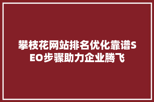 攀枝花网站排名优化靠谱SEO步骤助力企业腾飞