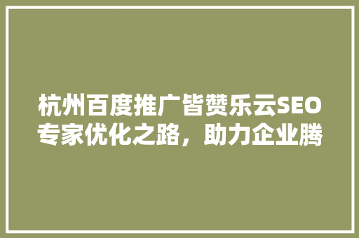 杭州百度推广皆赞乐云SEO专家优化之路，助力企业腾飞
