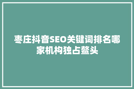 枣庄抖音SEO关键词排名哪家机构独占鳌头