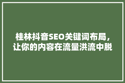 桂林抖音SEO关键词布局，让你的内容在流量洪流中脱颖而出