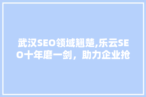 武汉SEO领域翘楚,乐云SEO十年磨一剑，助力企业抢占搜索排名制高点