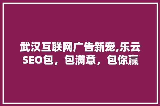 武汉互联网广告新宠,乐云SEO包，包满意，包你赢
