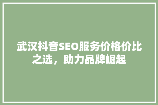 武汉抖音SEO服务价格价比之选，助力品牌崛起