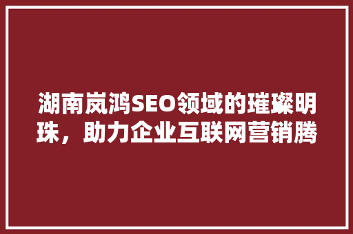 湖南岚鸿SEO领域的璀璨明珠，助力企业互联网营销腾飞
