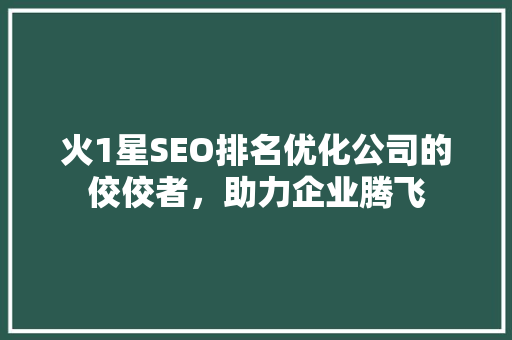火1星SEO排名优化公司的佼佼者，助力企业腾飞