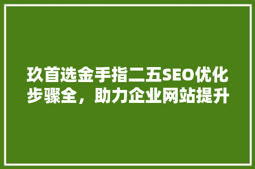 玖首选金手指二五SEO优化步骤全，助力企业网站提升排名