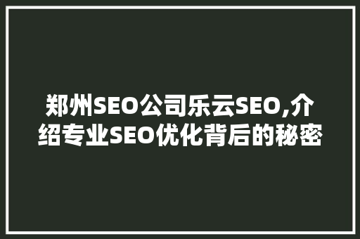 郑州SEO公司乐云SEO,介绍专业SEO优化背后的秘密