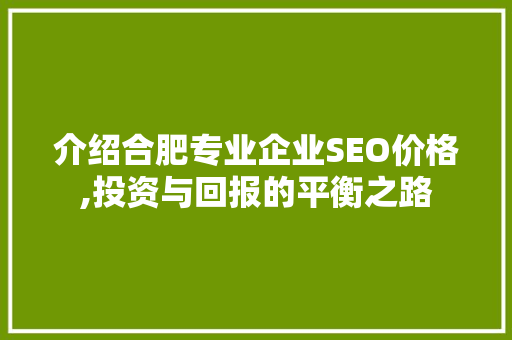 介绍合肥专业企业SEO价格,投资与回报的平衡之路