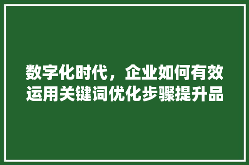 数字化时代，企业如何有效运用关键词优化步骤提升品牌影响力_关键词优化需要多久