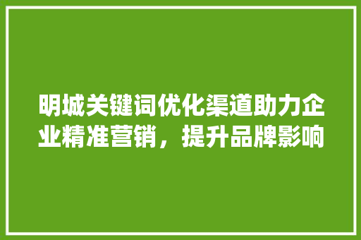 明城关键词优化渠道助力企业精准营销，提升品牌影响力_明城关键词优化渠道