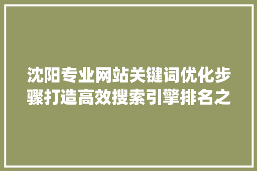 沈阳专业网站关键词优化步骤打造高效搜索引擎排名之路_沈阳专业网站关键词优化