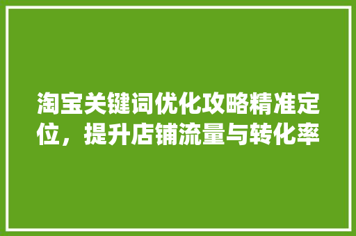 淘宝关键词优化攻略精准定位，提升店铺流量与转化率_淘宝关键词在哪优化好