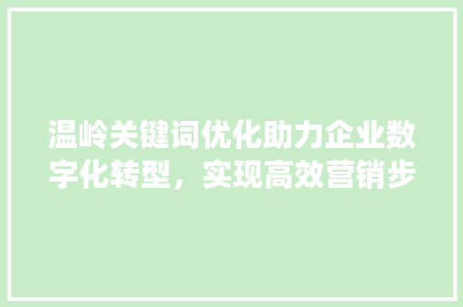 温岭关键词优化助力企业数字化转型，实现高效营销步骤_温岭关键词优化怎么拍