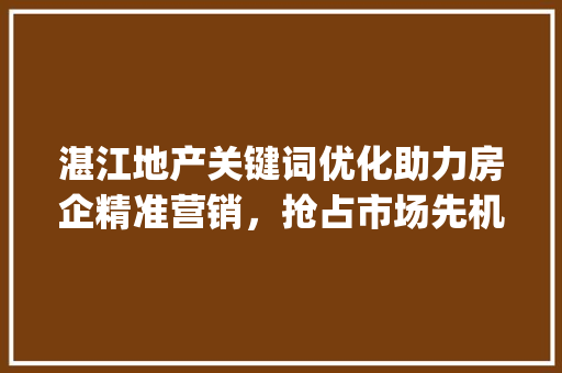 湛江地产关键词优化助力房企精准营销，抢占市场先机_湛江地产关键词优化软件