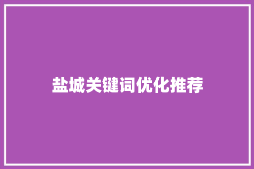盐城关键词优化推荐