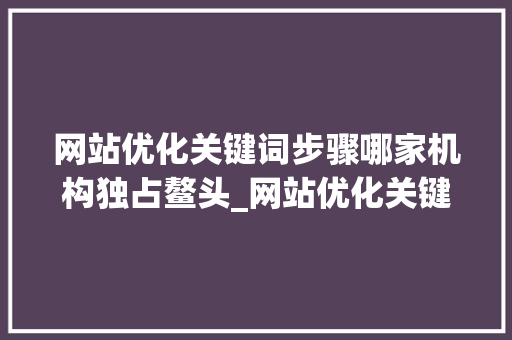 网站优化关键词步骤哪家机构独占鳌头_网站优化关键词哪家好