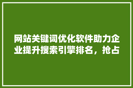 网站关键词优化软件助力企业提升搜索引擎排名，抢占网络市场先机_网站关键词优化软件咨询