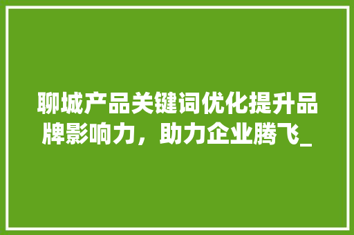 聊城产品关键词优化提升品牌影响力，助力企业腾飞_聊城产品关键词优化排名