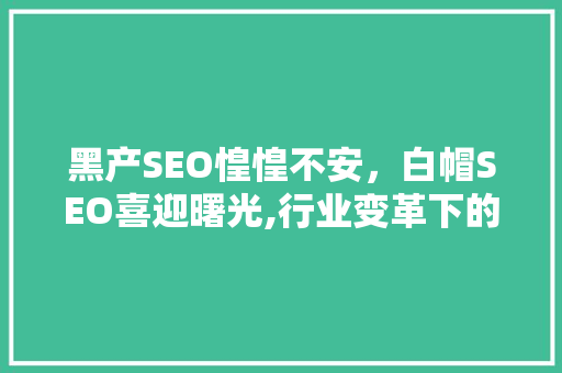 黑产SEO惶惶不安，白帽SEO喜迎曙光,行业变革下的SEO新格局