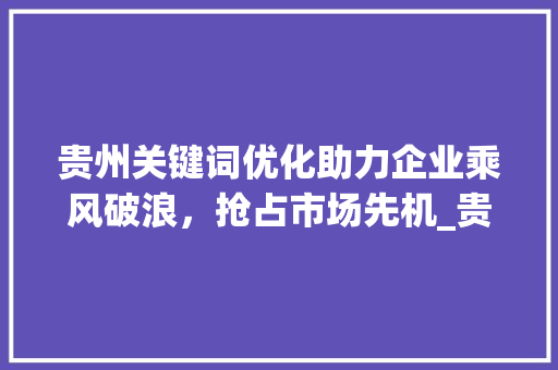 贵州关键词优化助力企业乘风破浪，抢占市场先机_贵州关键词优化公司