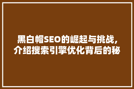 黑白帽SEO的崛起与挑战,介绍搜索引擎优化背后的秘密