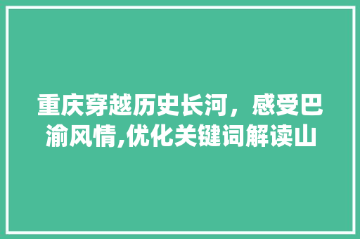 重庆穿越历史长河，感受巴渝风情,优化关键词解读山城魅力_重庆关键词优化时间