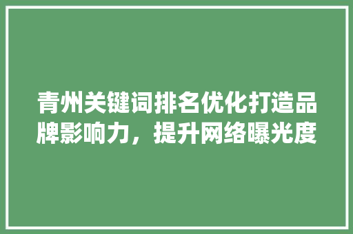 青州关键词排名优化打造品牌影响力，提升网络曝光度_青州关键词排名优化