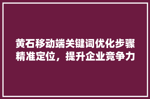 黄石移动端关键词优化步骤精准定位，提升企业竞争力_黄石移动端关键词优化  第1张