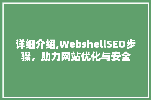 详细介绍,WebshellSEO步骤，助力网站优化与安全