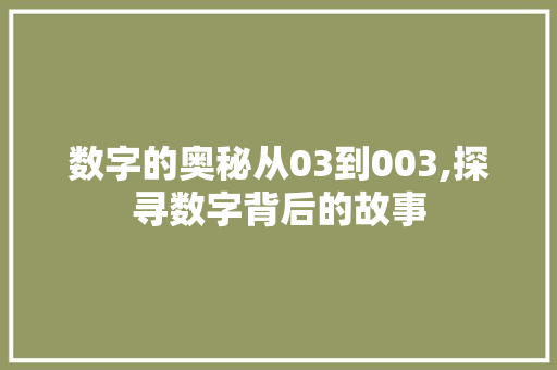 数字的奥秘从03到003,探寻数字背后的故事