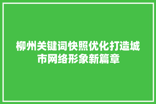 柳州关键词快照优化打造城市网络形象新篇章
