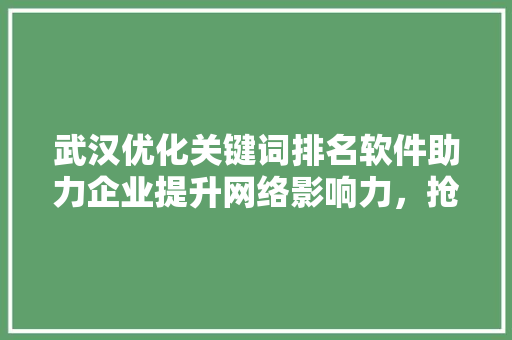 武汉优化关键词排名软件助力企业提升网络影响力，抢占市场先机
