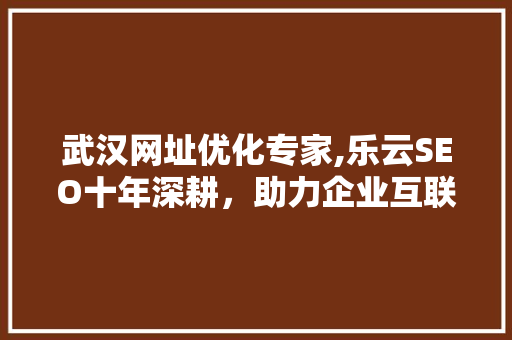 武汉网址优化专家,乐云SEO十年深耕，助力企业互联网营销腾飞