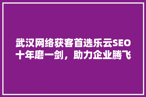 武汉网络获客首选乐云SEO十年磨一剑，助力企业腾飞