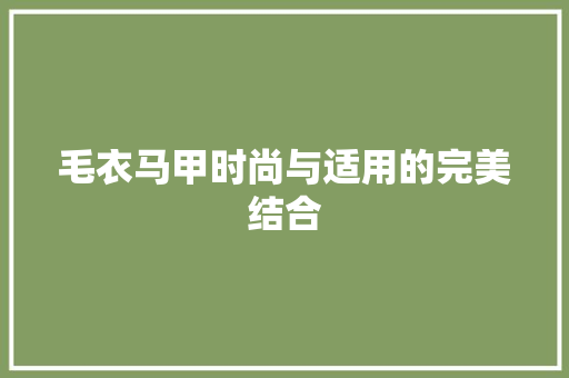 毛衣马甲时尚与适用的完美结合  第1张