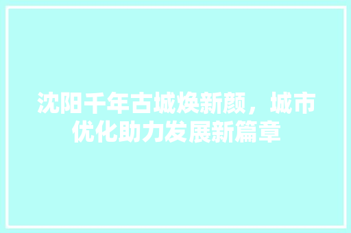 沈阳千年古城焕新颜，城市优化助力发展新篇章
