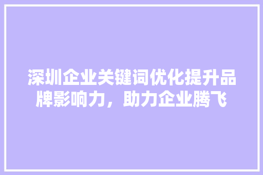 深圳企业关键词优化提升品牌影响力，助力企业腾飞