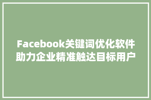 Facebook关键词优化软件助力企业精准触达目标用户_fb关键词优化软件