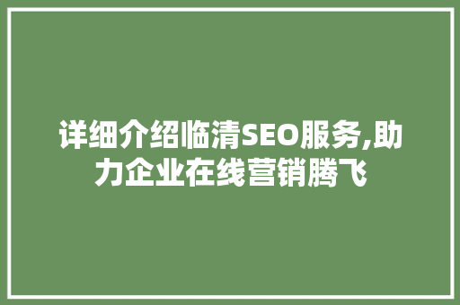 详细介绍临清SEO服务,助力企业在线营销腾飞