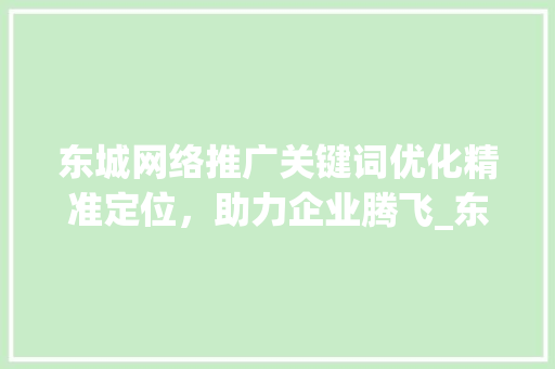 东城网络推广关键词优化精准定位，助力企业腾飞_东城网络推广关键词优化
