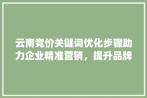 云南竞价关键词优化步骤助力企业精准营销，提升品牌知名度_云南竞价关键词优化